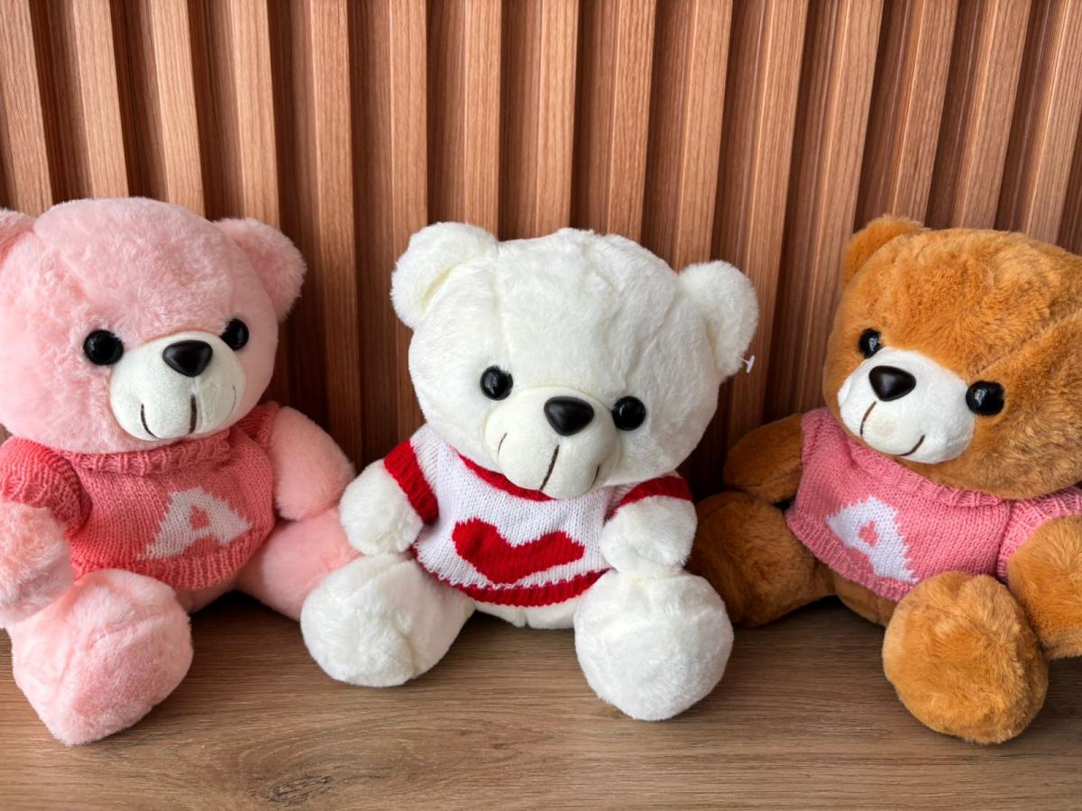 OSO SENTADO CON CHOMPA