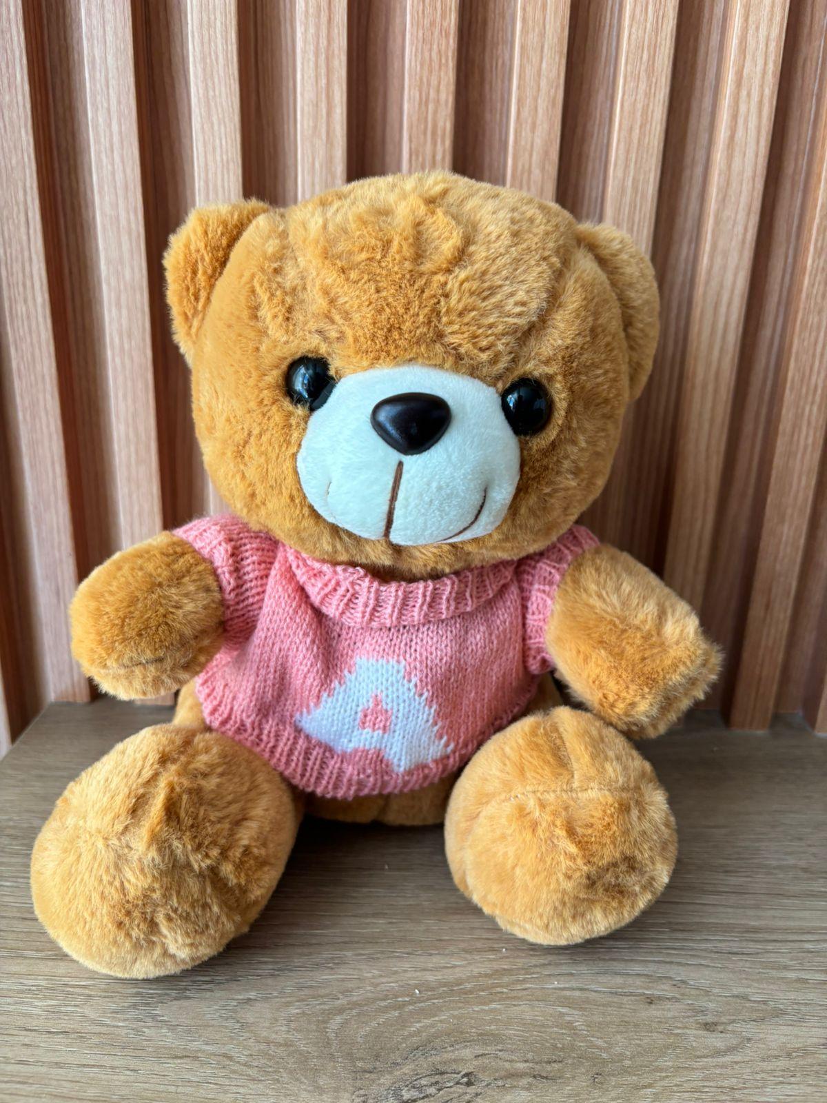 OSO SENTADO CON CHOMPA