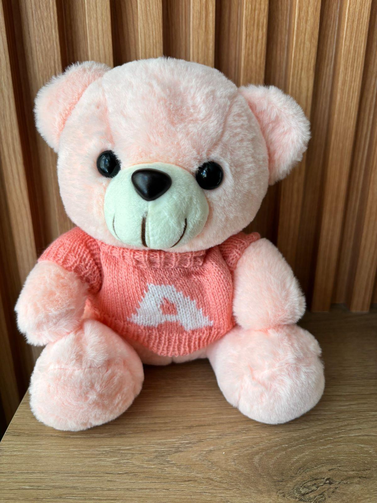 OSO SENTADO CON CHOMPA